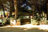 Il Gabbiano Camping Village