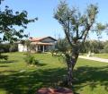 ONROEREND GOED ITALIA BELLA