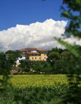 Podere Le Catastine I
