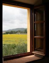Podere Le Catastine I