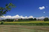 Podere Le Catastine I