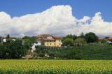 Podere Le Catastine I