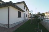 I Leoncini