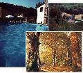 Agriturismo Luchetta degli Ulivi