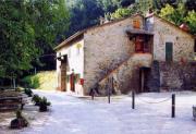 Badia di Moscheta