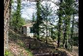 Immobiliare Palazzeta