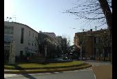 Immobiliare Palazzeta