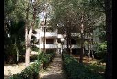 Immobiliare Palazzeta