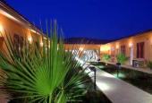 Le Palme