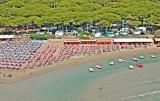 Pineta del Golfo