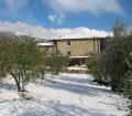 APPARTAMENTI PODERE CORBOLINA