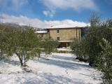 Podere Corbolina