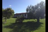 Podere 571