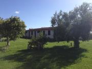Podere 571