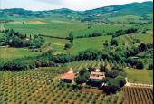 La Sassetta