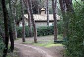 I Sorbizzi