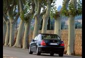 Tuscany Taste Tour