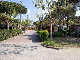 Versilia Mare