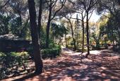 Villaggio Club Cecina