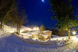 OFFERS FARM HOLIDAYS JANUARY -