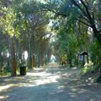 Campeggio Arcobaleno Camping