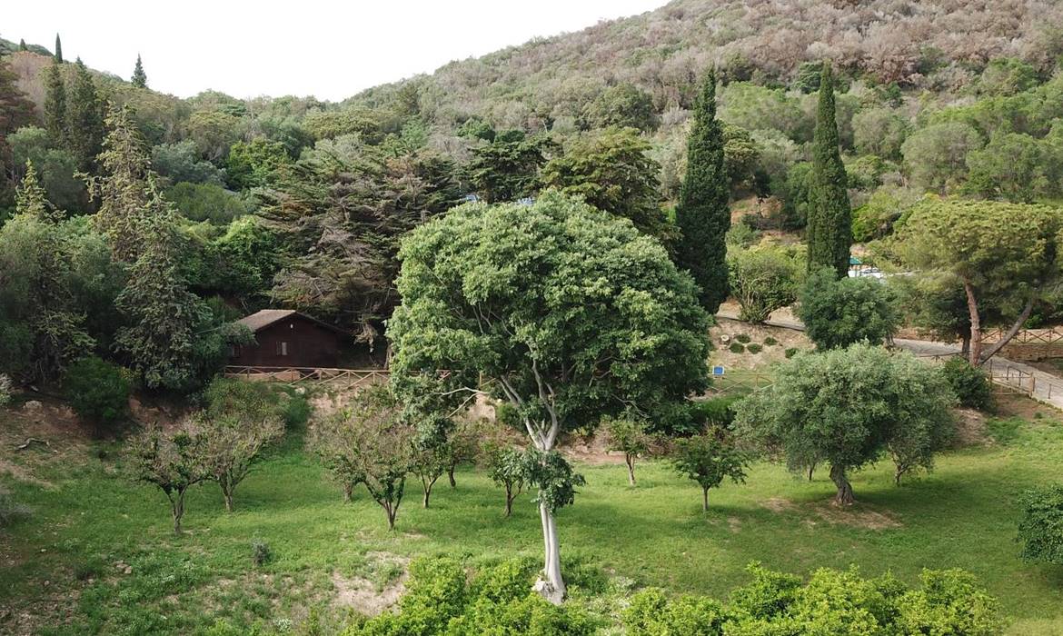 Agriturismo Club Le Cannelle