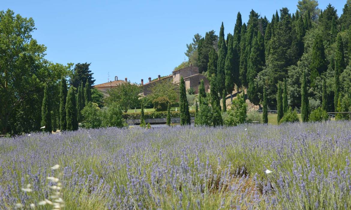 Agriturismo Il Castagno