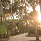 Landhäuser Centro Salvador Allende