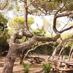 Landhäuser Centro Salvador Allende