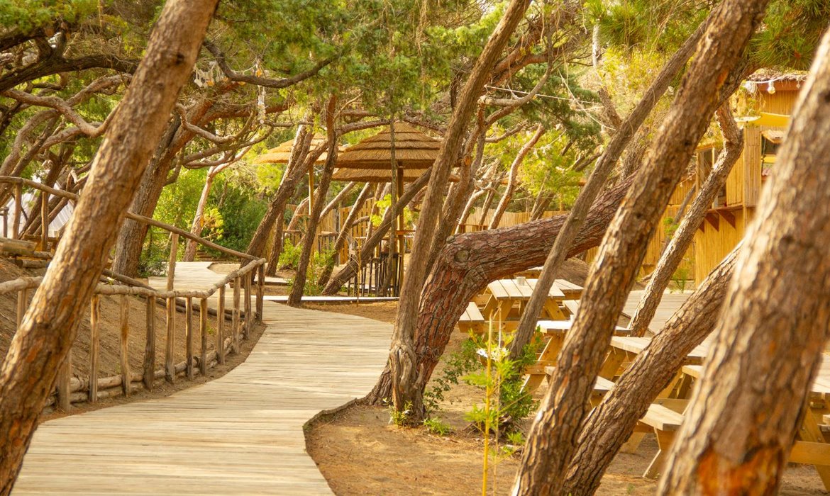 Landhäuser Centro Salvador Allende