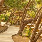 Landhäuser Centro Salvador Allende