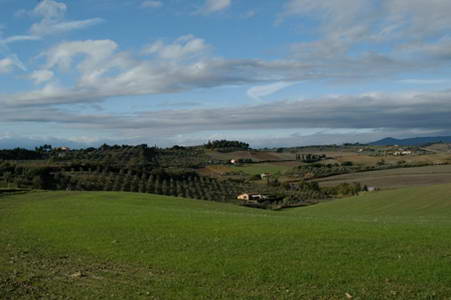 il parco della magona