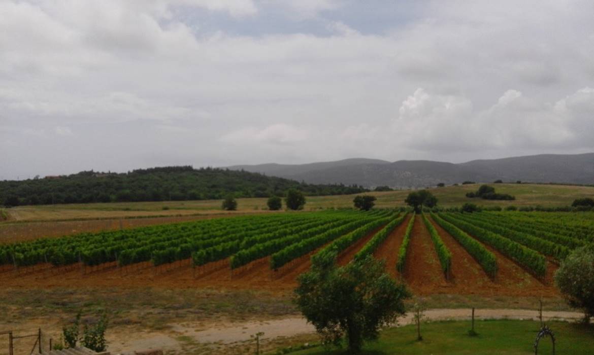 LE COLLINE DEL PARCO