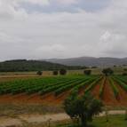 LE COLLINE DEL PARCO