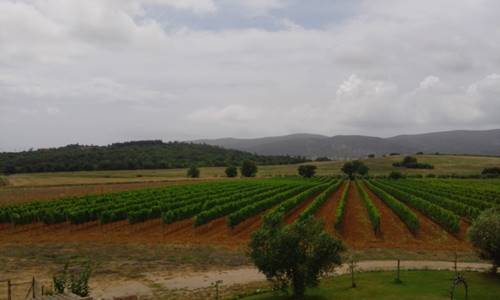 LE COLLINE DEL PARCO
