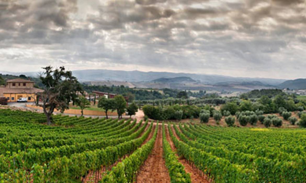LOCANDA TERENZI