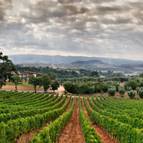 LOCANDA TERENZI