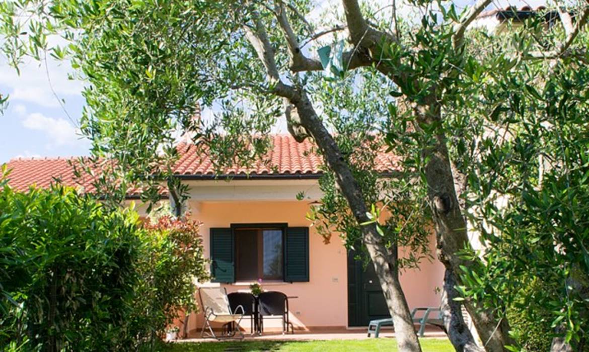 POGGIO DEGLI OLIVI