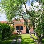 POGGIO DEGLI OLIVI