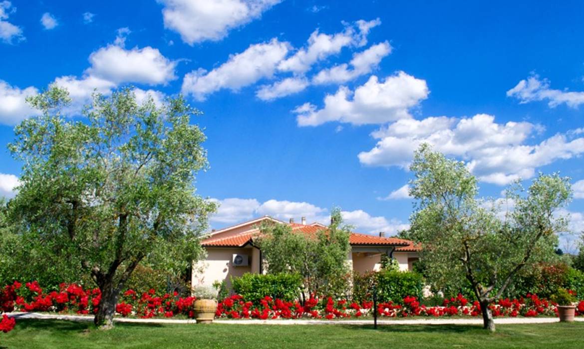 POGGIO DEGLI OLIVI
