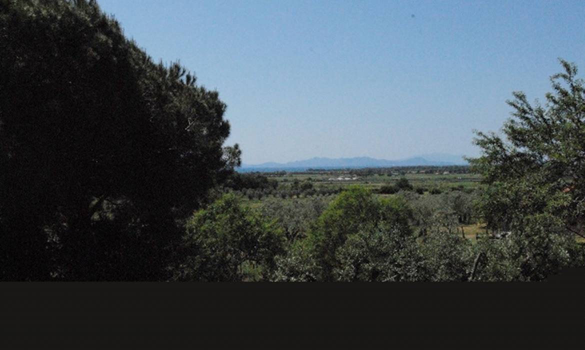 TENUTA DI VIGNALE