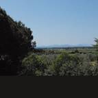 TENUTA DI VIGNALE