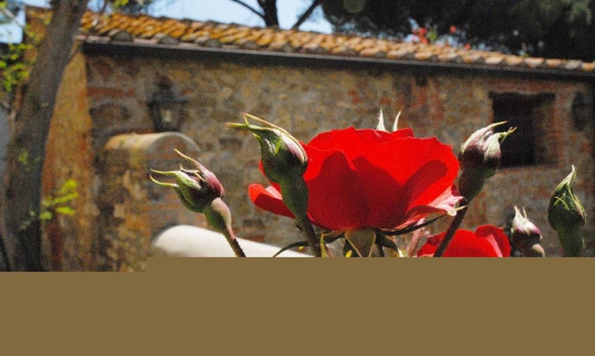 TENUTA DI VIGNALE