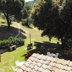 TENUTA DI VIGNALE