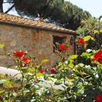 TENUTA DI VIGNALE