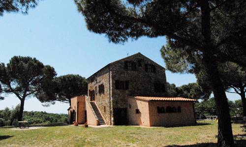 BRONZIVALLE