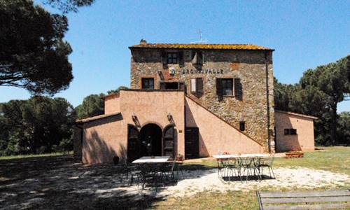 BRONZIVALLE