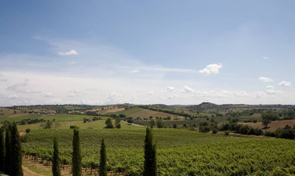 BOSCHETTO DI MONTIANO