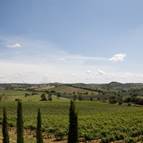 BOSCHETTO DI MONTIANO