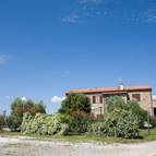 BOSCHETTO DI MONTIANO